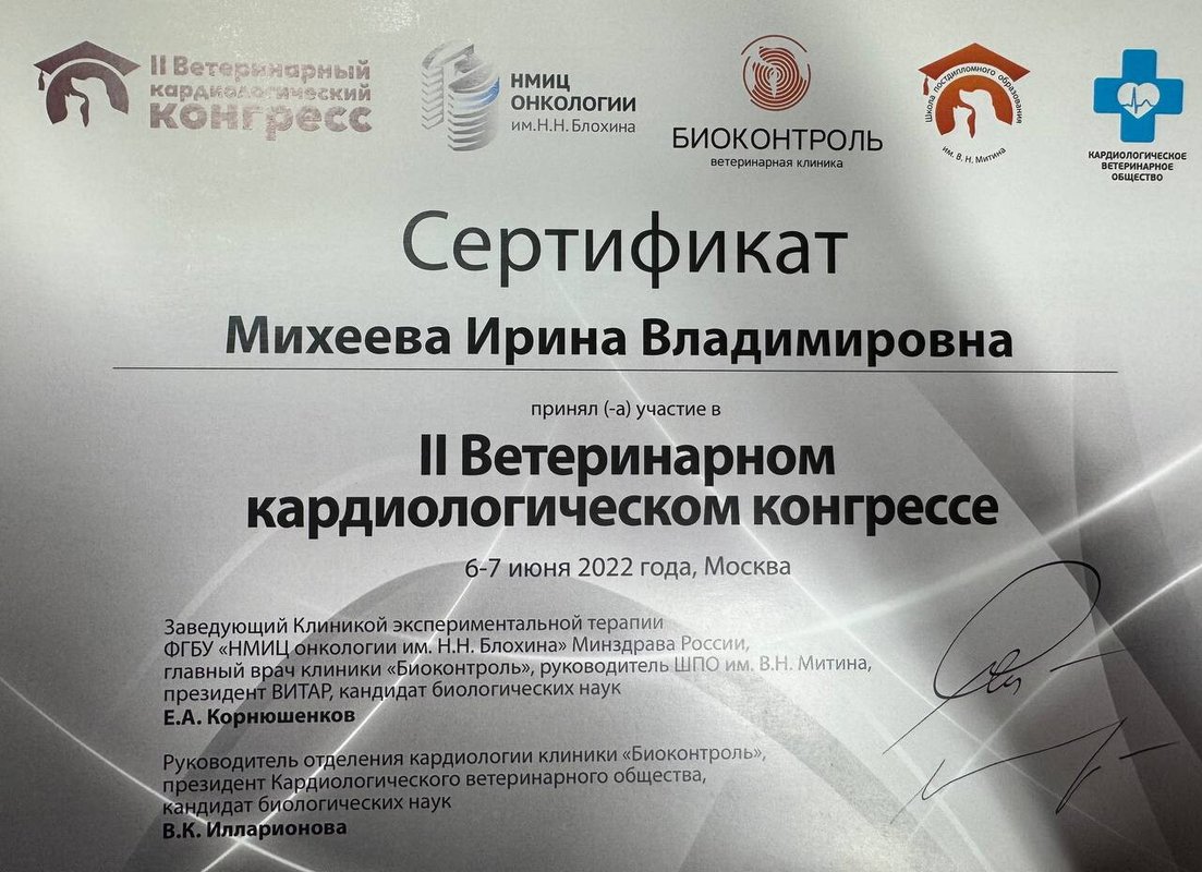 Документ или сертификат
