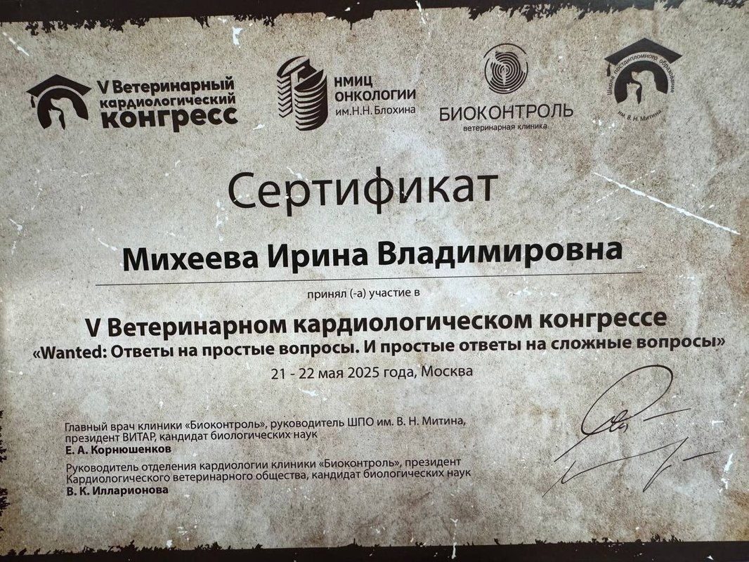 Документ или сертификат