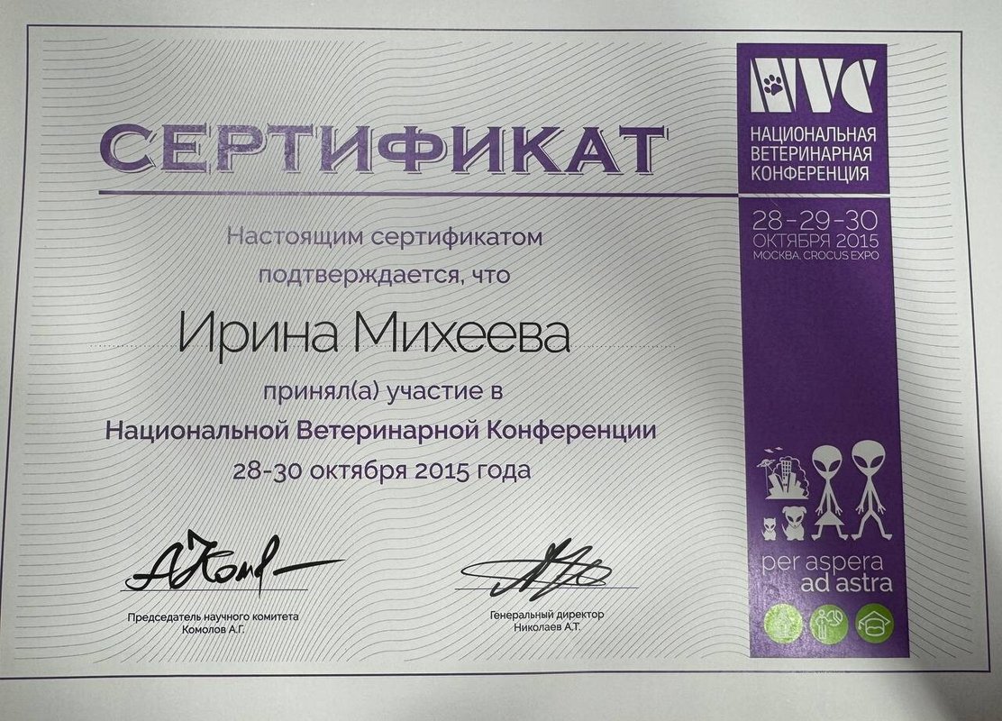 Документ или сертификат