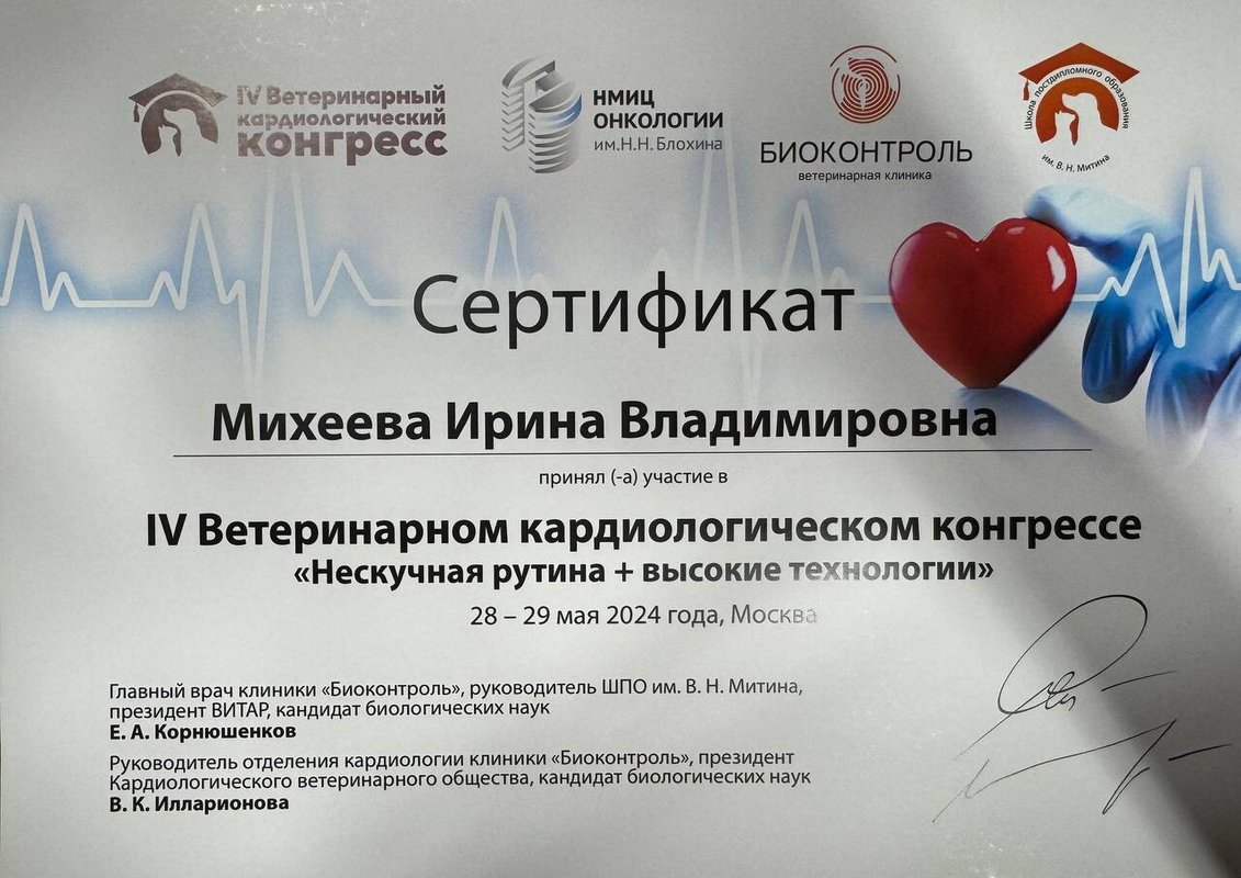 Документ или сертификат