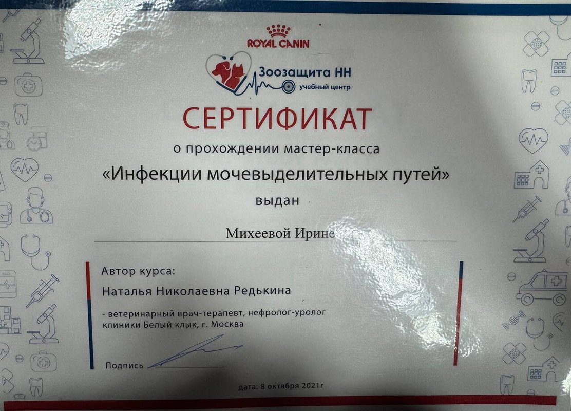 Документ или сертификат