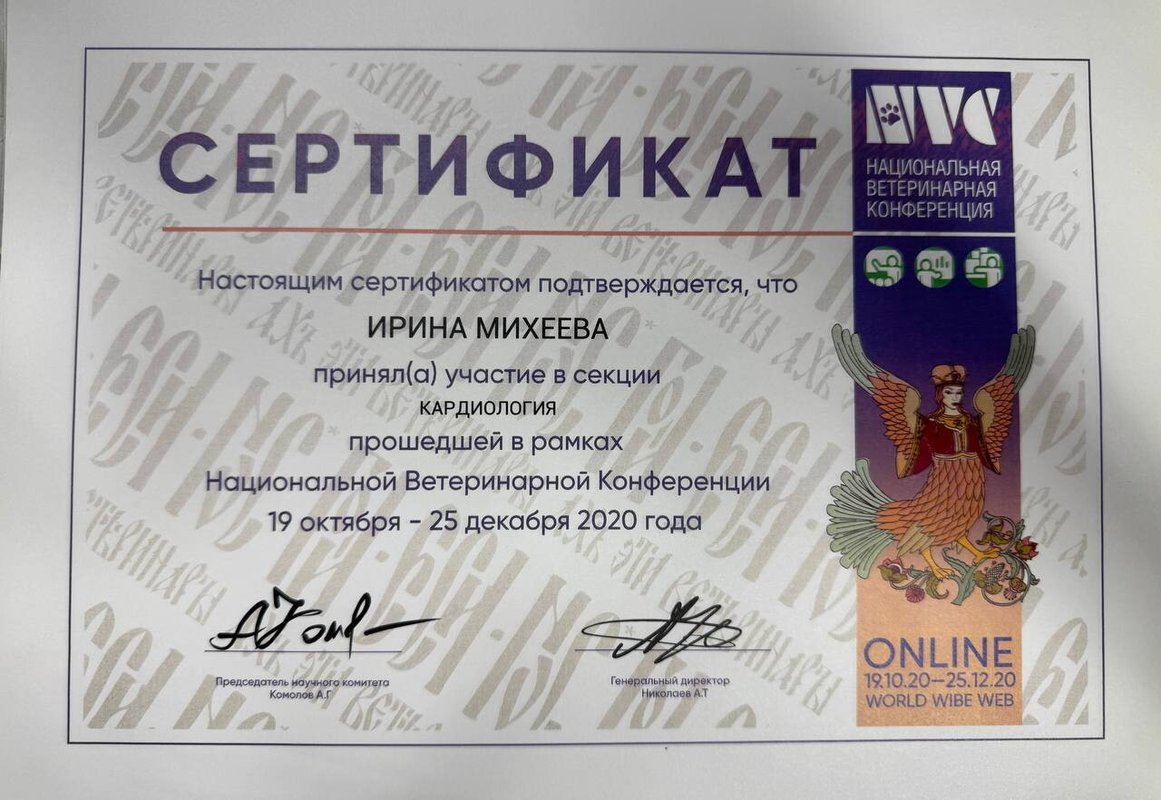 Документ или сертификат