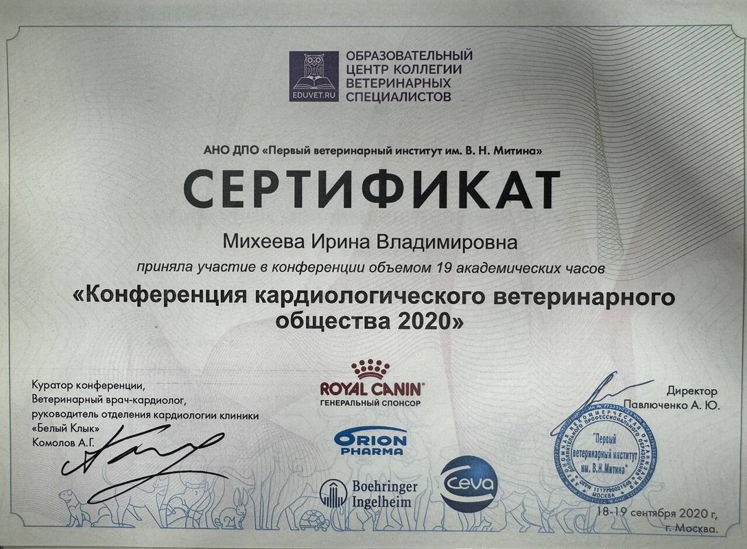 Документ или сертификат