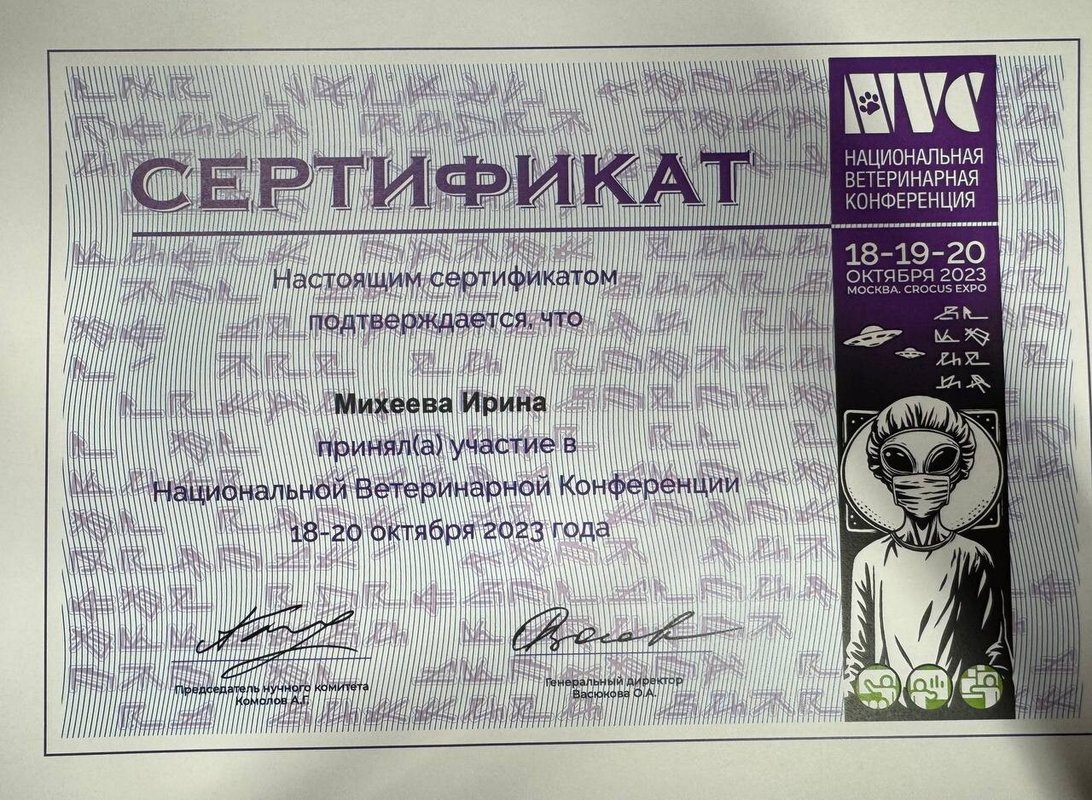 Документ или сертификат