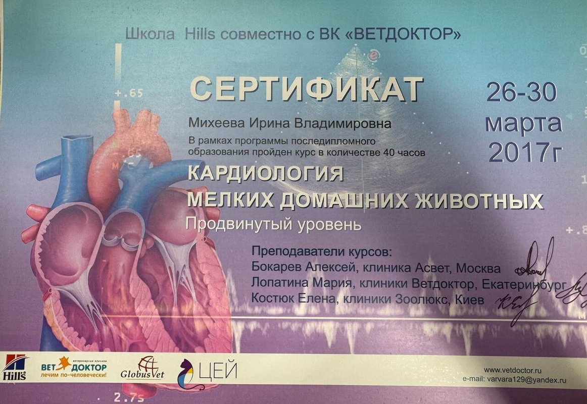 Документ или сертификат