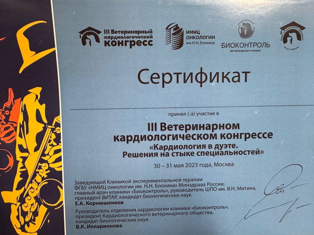 Документ или сертификат