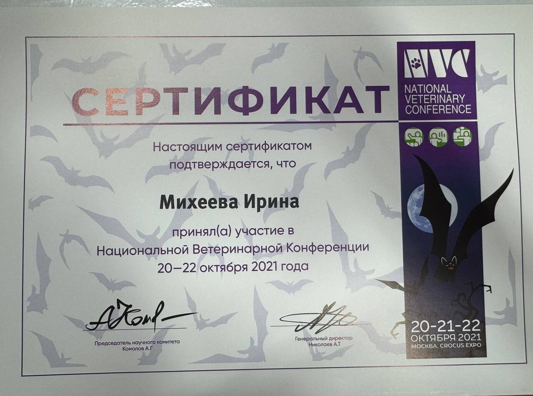 Документ или сертификат