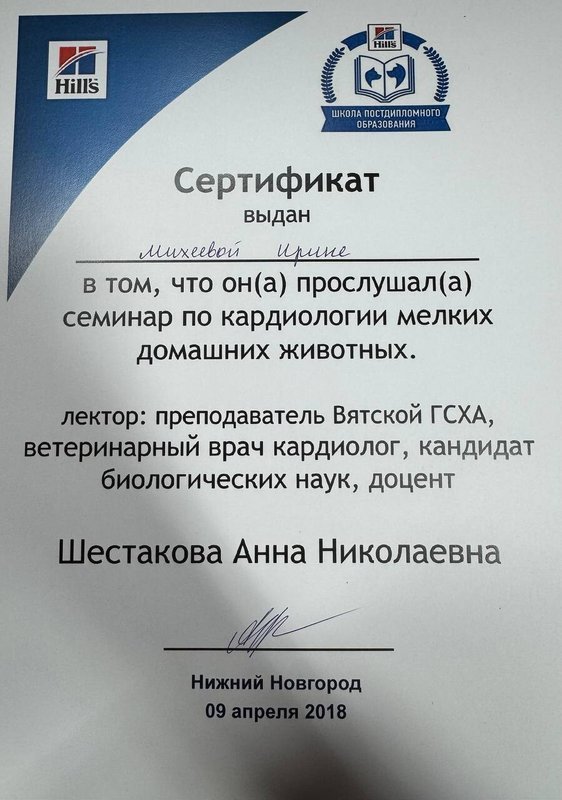 Документ или сертификат