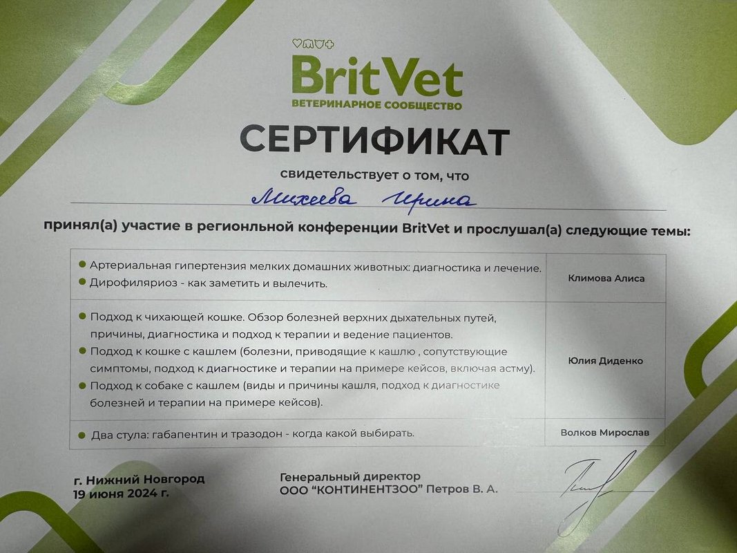 Документ или сертификат