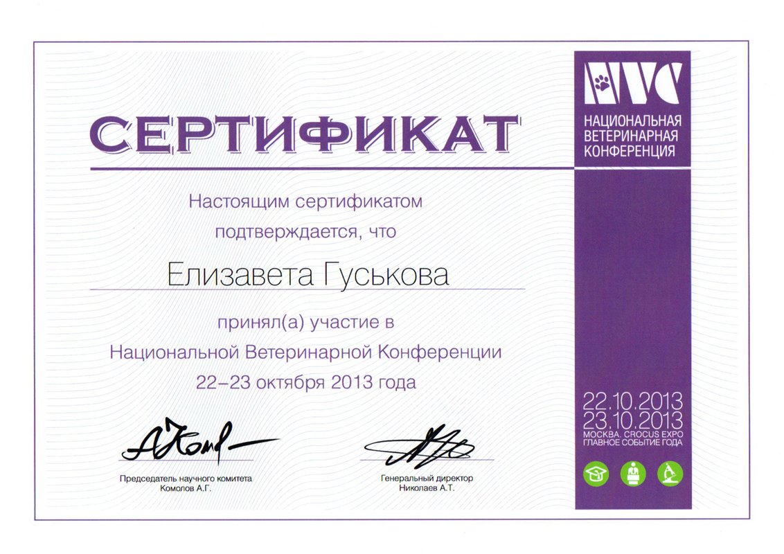 Документ или сертификат