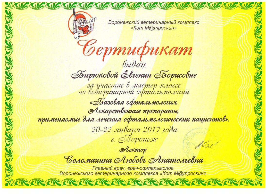 Документ или сертификат
