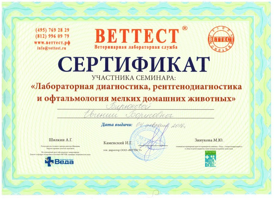 Документ или сертификат