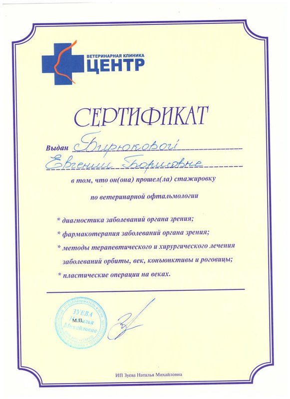 Документ или сертификат