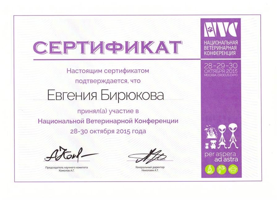 Документ или сертификат