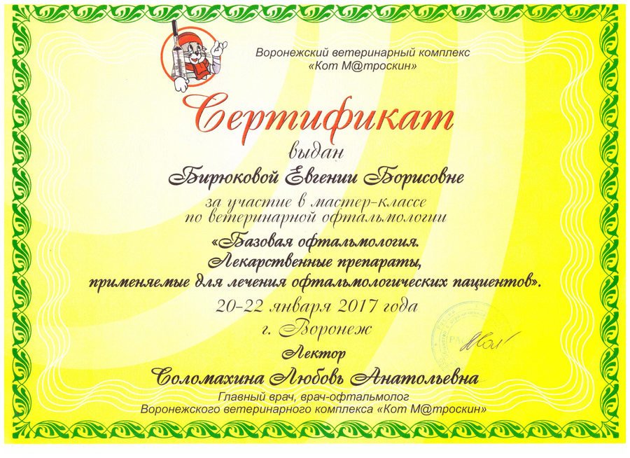 Документ или сертификат
