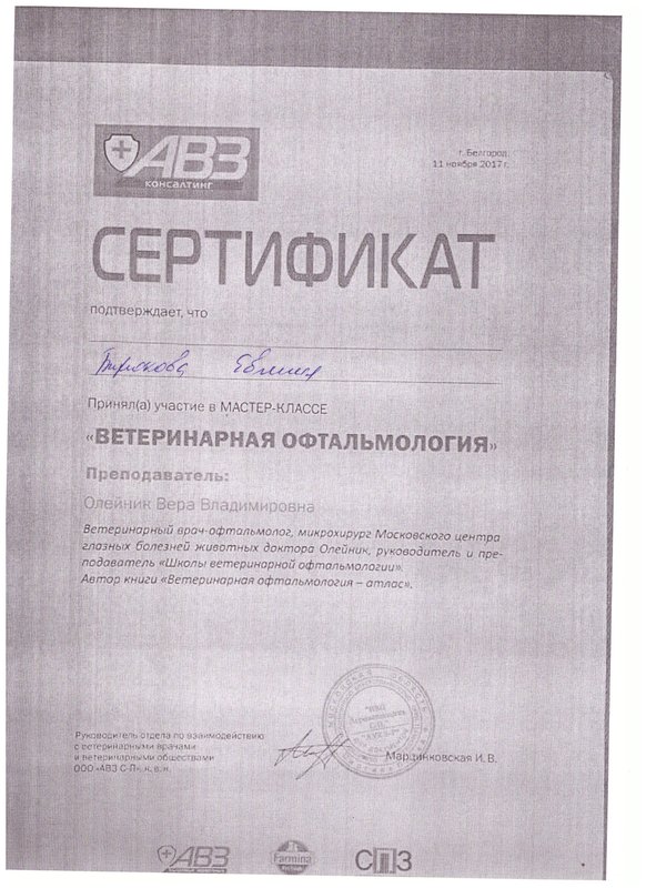 Документ или сертификат