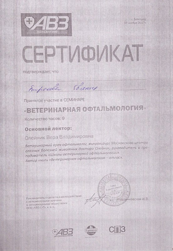 Документ или сертификат