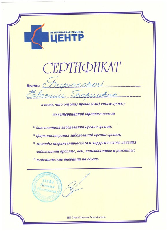 Документ или сертификат