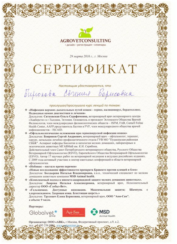 Документ или сертификат
