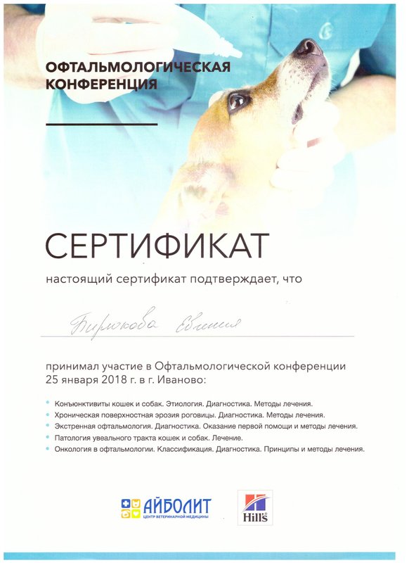 Документ или сертификат
