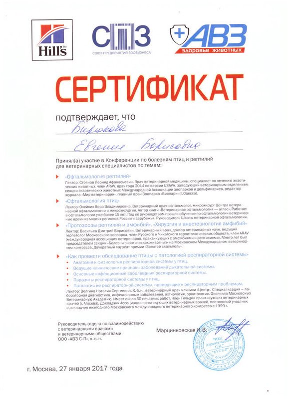 Документ или сертификат