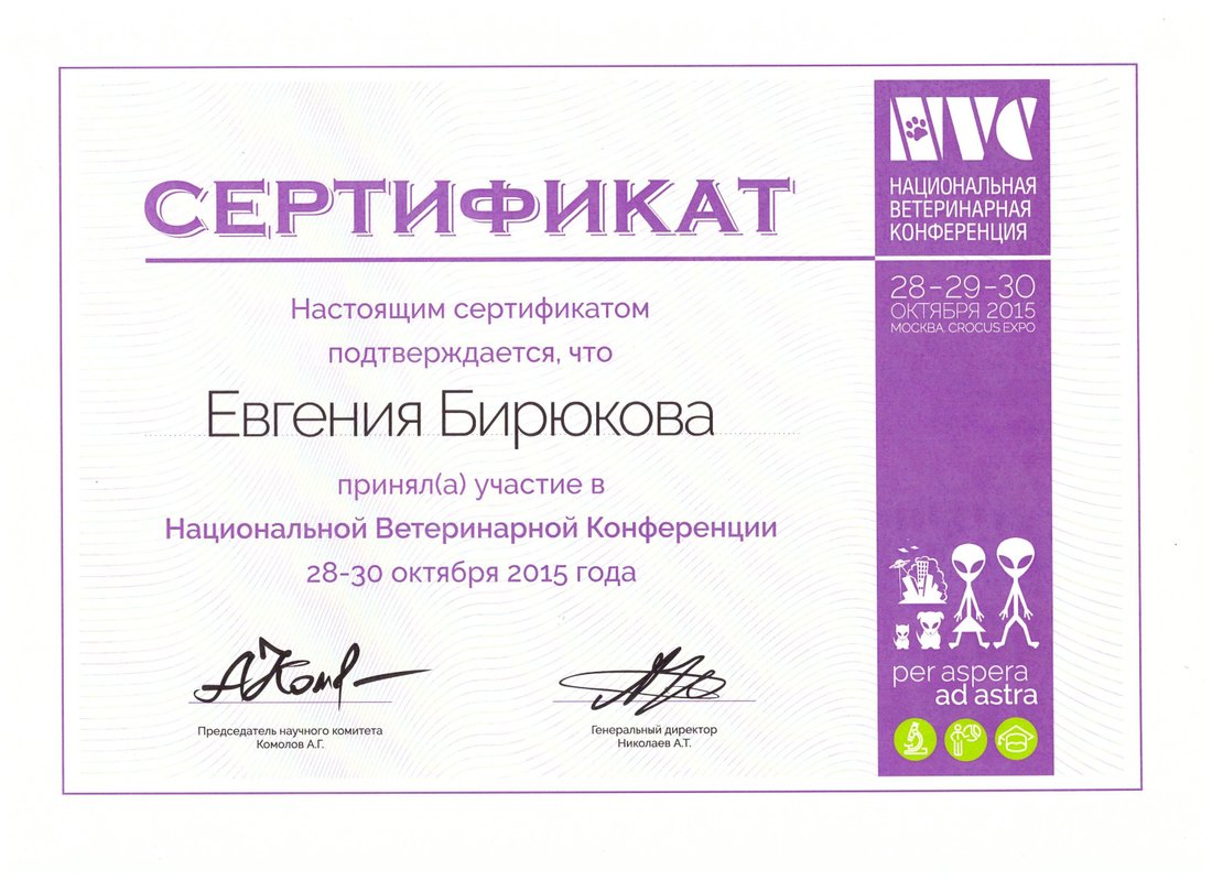 Документ или сертификат
