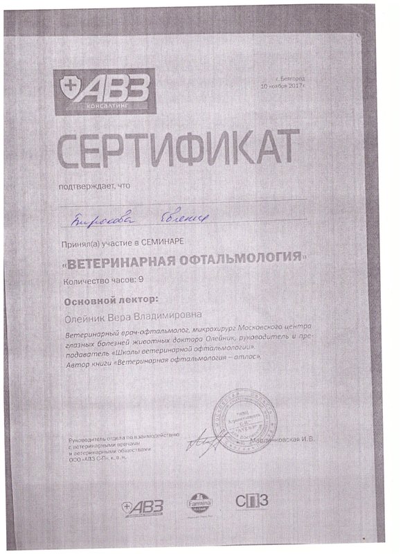 Документ или сертификат