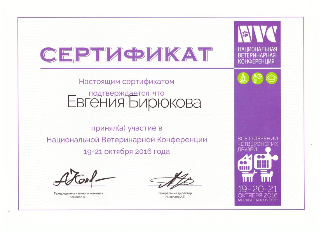 Документ или сертификат
