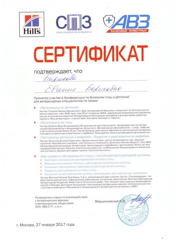 Документ или сертификат