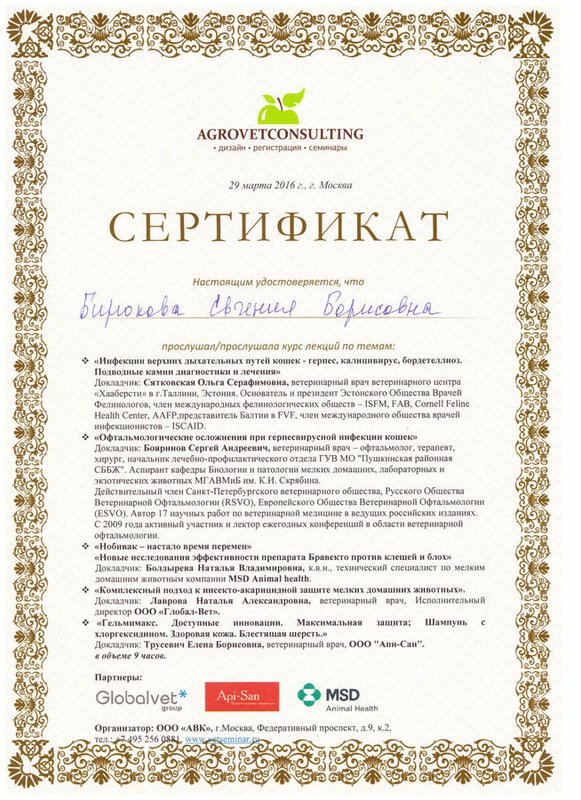 Документ или сертификат