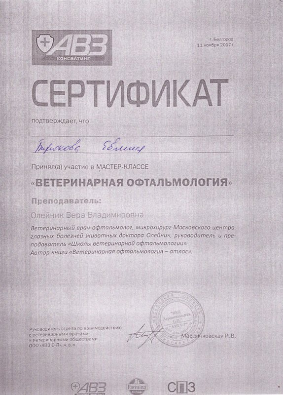 Документ или сертификат