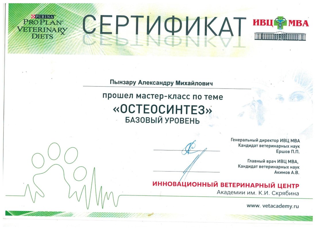 Документ или сертификат