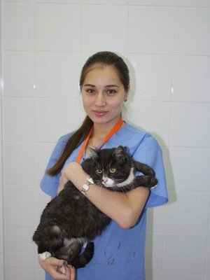 Фото врача Романова Светлана Евгеньевна