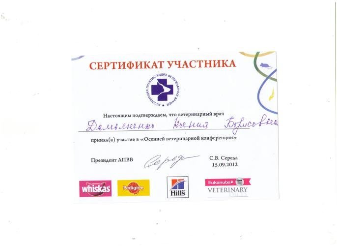 Документ или сертификат