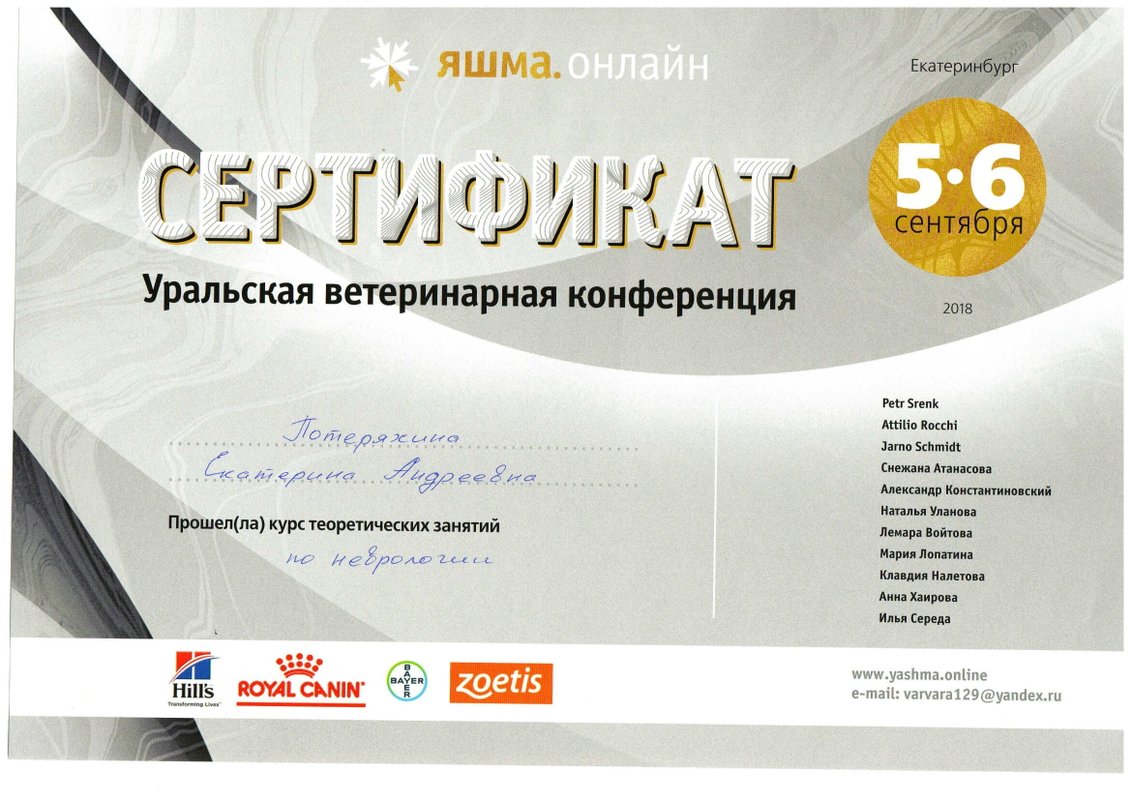 Документ или сертификат