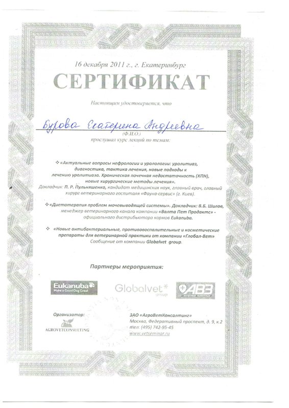 Документ или сертификат