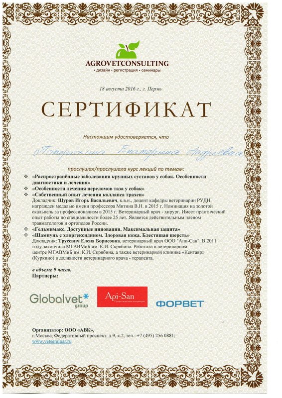 Документ или сертификат