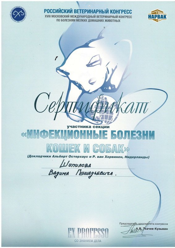 Документ или сертификат