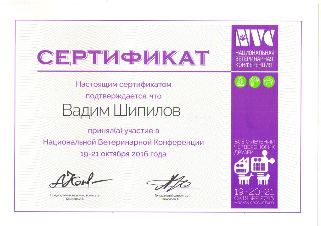 Документ или сертификат