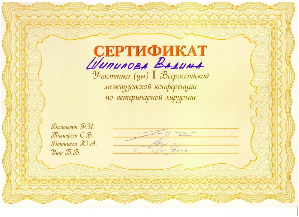 Документ или сертификат