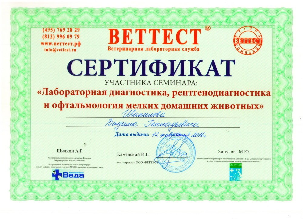 Документ или сертификат