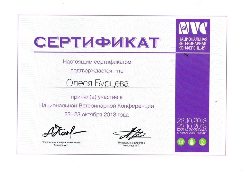 Документ или сертификат