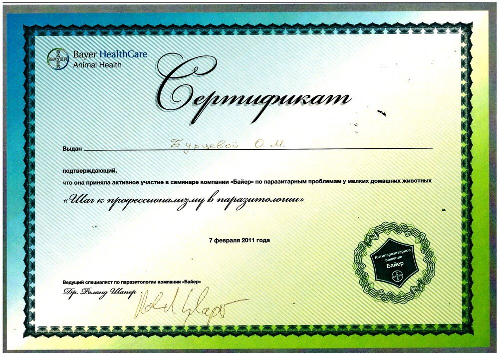 Документ или сертификат