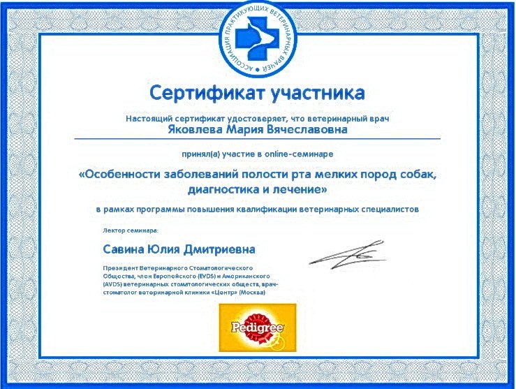 Документ или сертификат