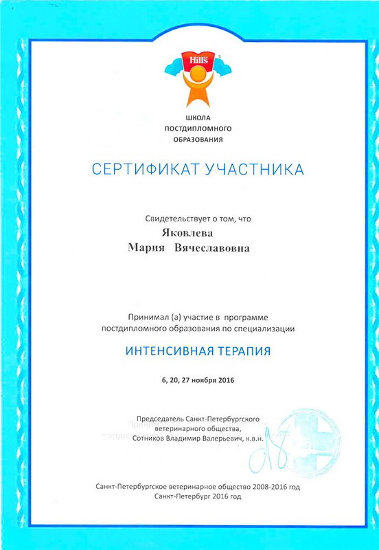 Документ или сертификат