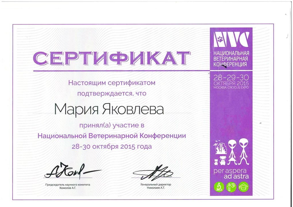 Документ или сертификат