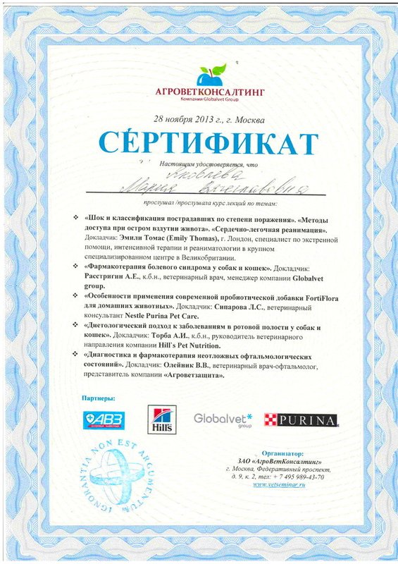 Документ или сертификат