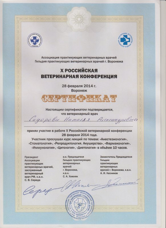 Документ или сертификат