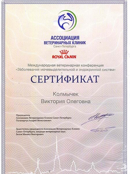 Документ или сертификат