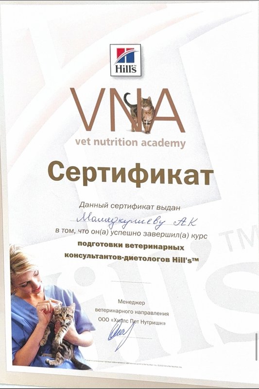 Документ или сертификат